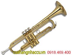 3-dia-diem-cho-thue-ken-trumpet-gia-re-nhat-o-tphcm