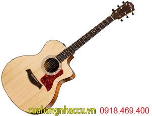 cho-thue-dan-guitar 