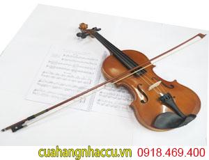 chuyen-day-dan-violin-tai-go-vap