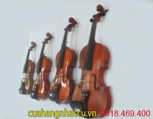 dan-violin-chinh-hang