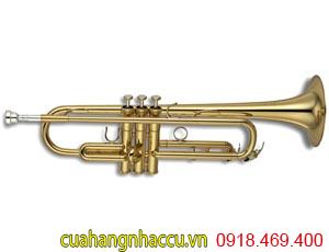 gia-cho-thue-ken-trumpet-la-bao-nhieu