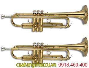 thue-ken-trumpet-chat-luong-tot